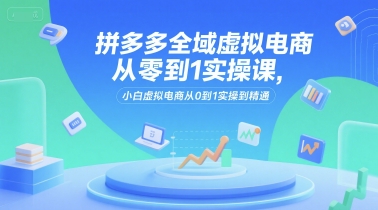 拼多多全域虚拟电商从零到1实操课，小白虚拟电商从0到1实操到精通-小白网创