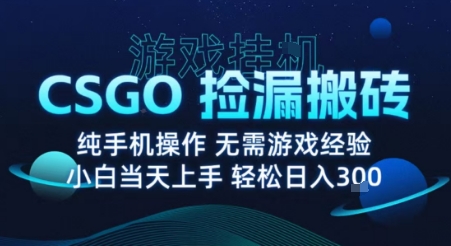 8月最新游戏搬砖，CSGO纯挂G，不需要玩游戏，实现真挂G，月入1W+【揭秘】-小白网创