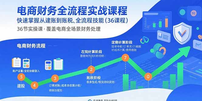 电商财务全流程实战课程：快速掌握从建账到报税的全流程技能(36节课-小白网创