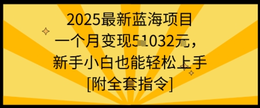 2025最新蓝海项目一个月变现1w+新手小白也能轻松上手【附全套指令】-小白网创