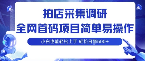拍店采集调研，全网首码项目，简单易操作， 小白也能轻松上手，多账号操作，轻松日入5张【揭秘】-源码天堂