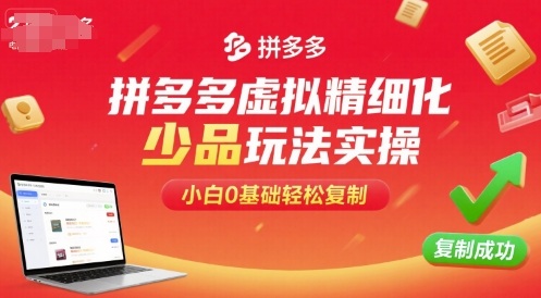 拼多多虚拟精细化少品玩法实操，小白0基础轻松复制-源码天堂