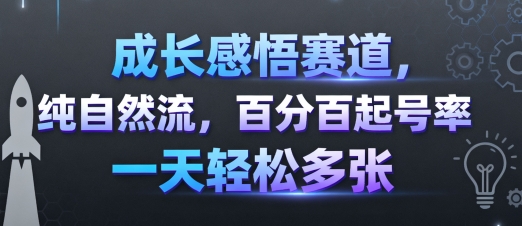 成长感悟赛道，纯自然流，百分百起号率 一天轻松多张-源码天堂