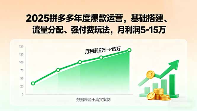 2025拼多多年度爆款运营，基础搭建、流量分配、强付费玩法，月利润5-15万-源码天堂
