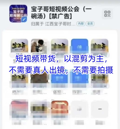 宝子哥头部团队短视频带货，以混剪为主，不需要真人出镜，不需要拍摄【更新9月】-源码天堂