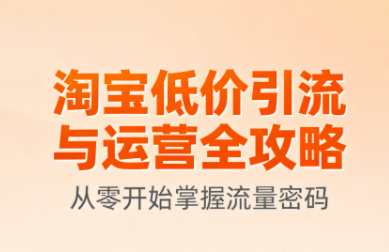 淘宝低价引流与运营全攻略(更新9月)-源码天堂