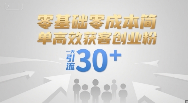 零基础零成本简单高效获客创业粉，一天引流30+-小白网创