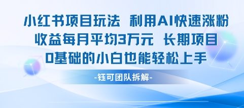 适合小白操作的小红书新项目，利用AI快速涨粉，收益每月平均1W+-小白网创