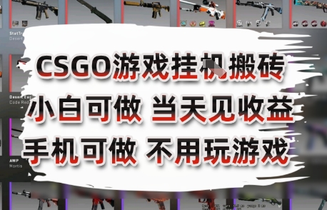 CSGO游戏挂G搬砖，小白纯手机即可操作，不用电脑打游戏，日入3张+，副业网创项目【揭秘】-小白网创