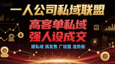 一人公司私域联盟，高客单私域，强人设成交，建私域 搞发售 广结盟 造势能-小白网创
