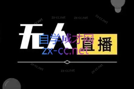 宝子哥·无人直播-非实时防风技术(更新6月)-小白网创