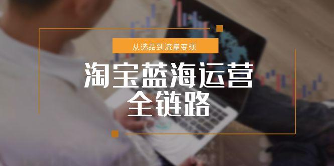 淘宝蓝海运营全链路，从选品到流量变现，小类目突围完整方案-小白网创