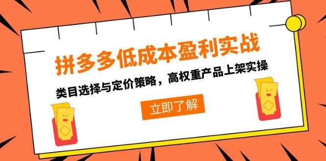 拼多多低成本盈利实战，类目选择与定价策略，高权重产品上架实操-小白网创