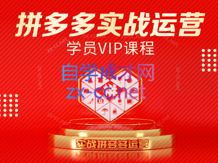 推易电商·拼多多实战运营课(更新2025月)-小白网创