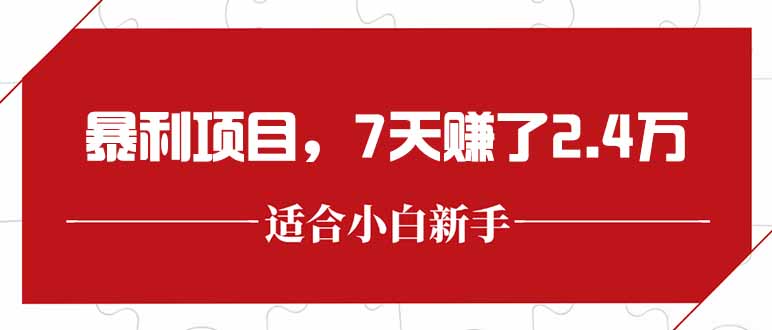 最新暴利项目，每单收益轻松在300以上，7天赚了2.4万-小白网创