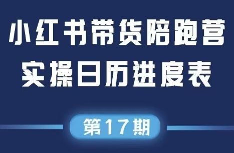 盗坤·抖音小红书视频号短视频带货与直播变现(11-17期)-小白网创