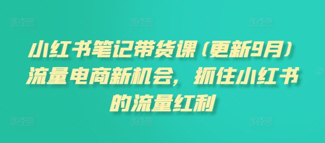 小红书笔记带货课(更新25年6月)流量电商新机会，抓住小红书的流量红利-小白网创