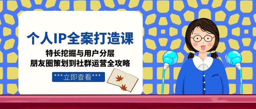 个人IP全案打造课，特长挖掘与用户分层，朋友圈策划到社群运营全攻略-小白网创