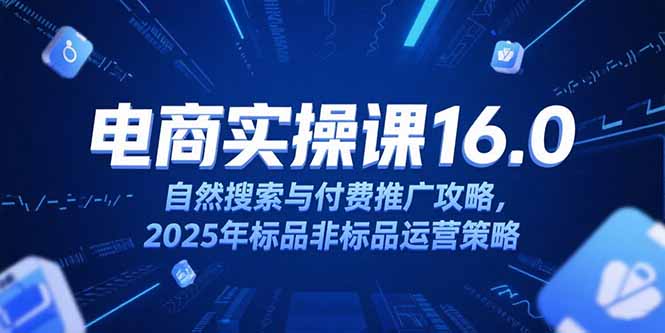 淘宝电商运营课16.0，自然搜索与付费推广攻略，2025年标品非标品运营策略-小白网创