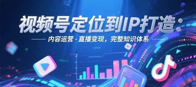 视频号定位到IP打造：账号搭建-内容运营-直播变现，完整知识体系-小白网创