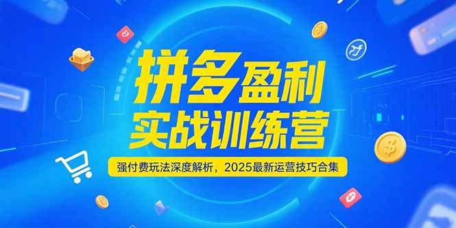 拼多多盈利实战训练营，强付费玩法深度解析，2025运营技巧合集-更新6月-小白网创