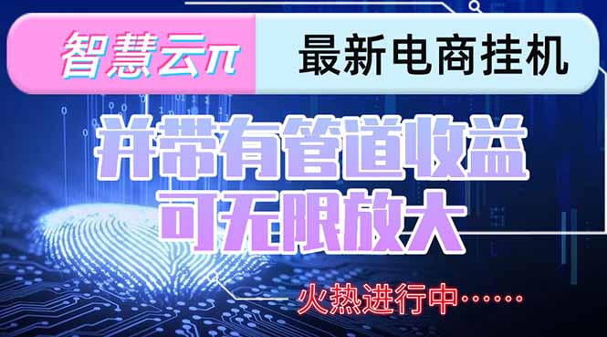 智慧云π电脑挂机单机每天收益300—500+ 并带有团队管道收益 可无限放大-小白网创